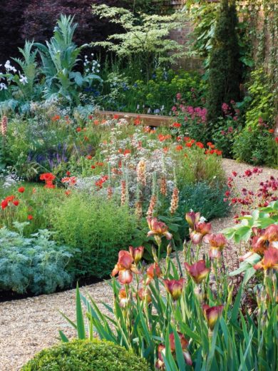 A Beginner's Guide to Gardening – Craftivity Designs