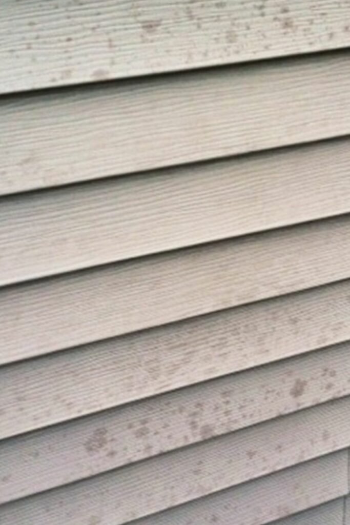 How to Clean Grill Grease and Cooking Oil from Vinyl Siding