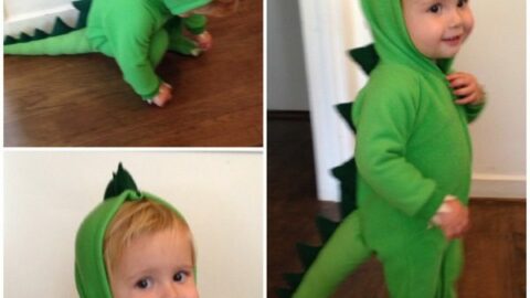 Image for Semi-Homemade Dinosaur