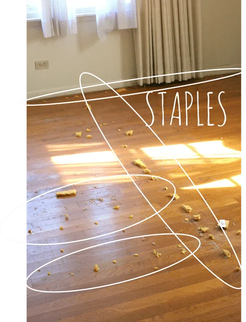 carpet staples and carpet padding stuck on hardwood floors