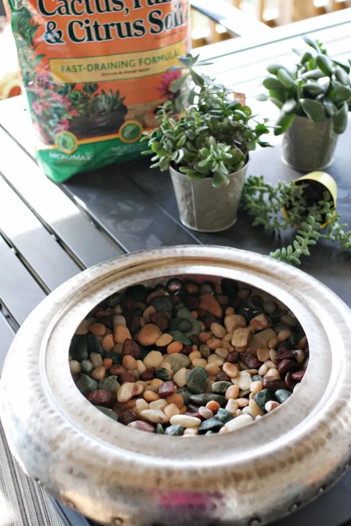 rocks in a bowl, planting succulents