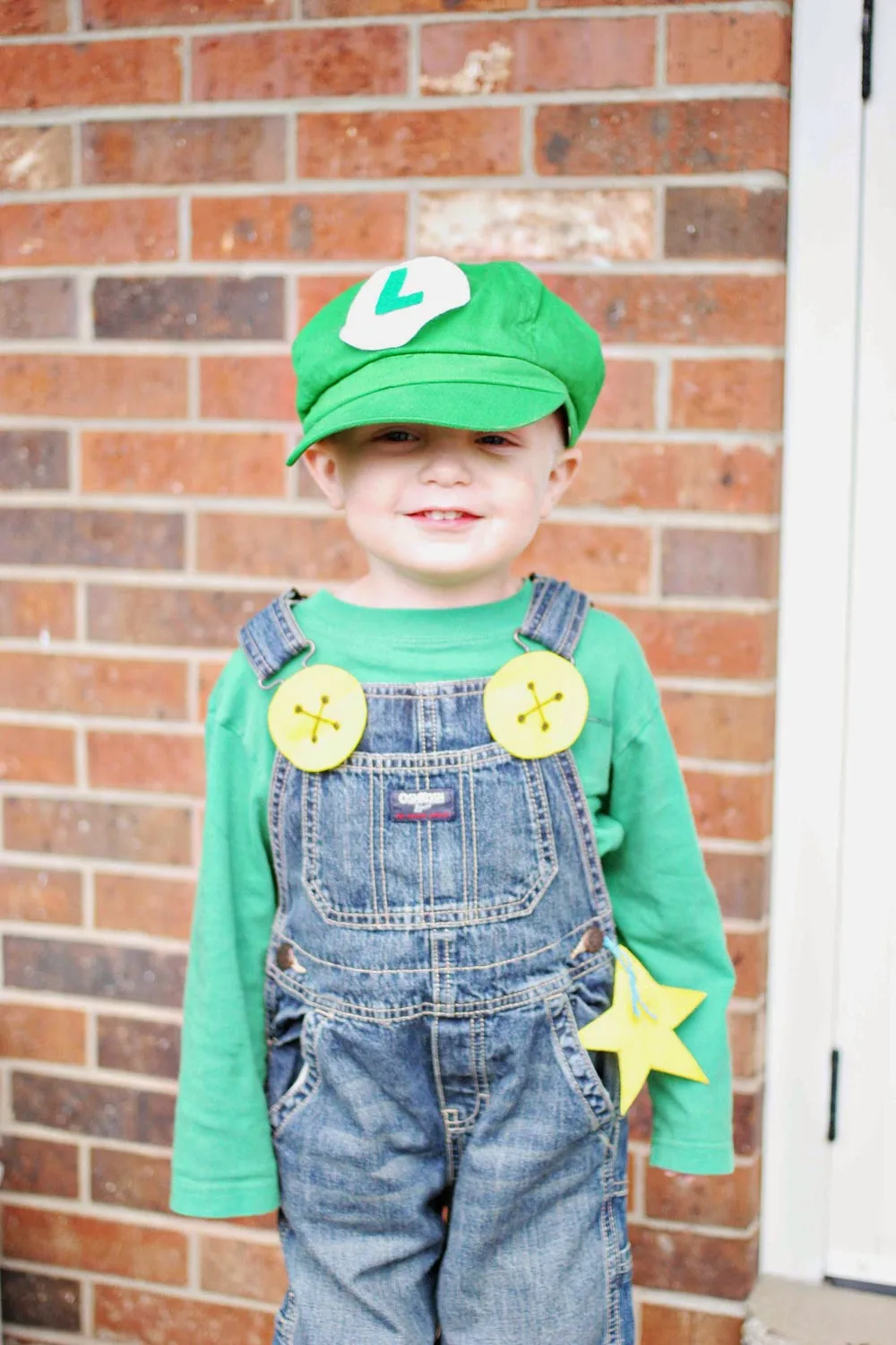 luigi costume on little boy