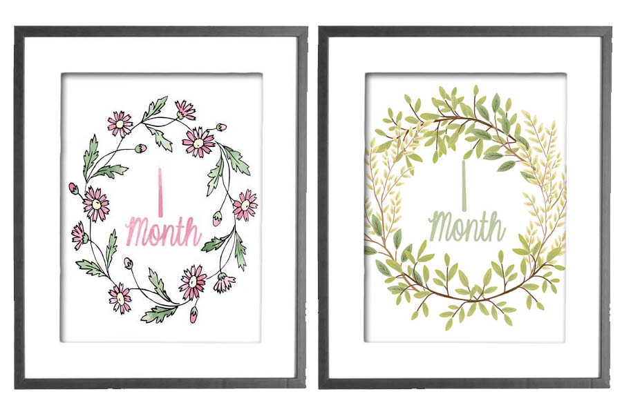 DIY Monthly Baby Photos, Monthly Baby Photo Shoot, Photo Prop, Printable Monthly Baby Signs by @CraftivityD