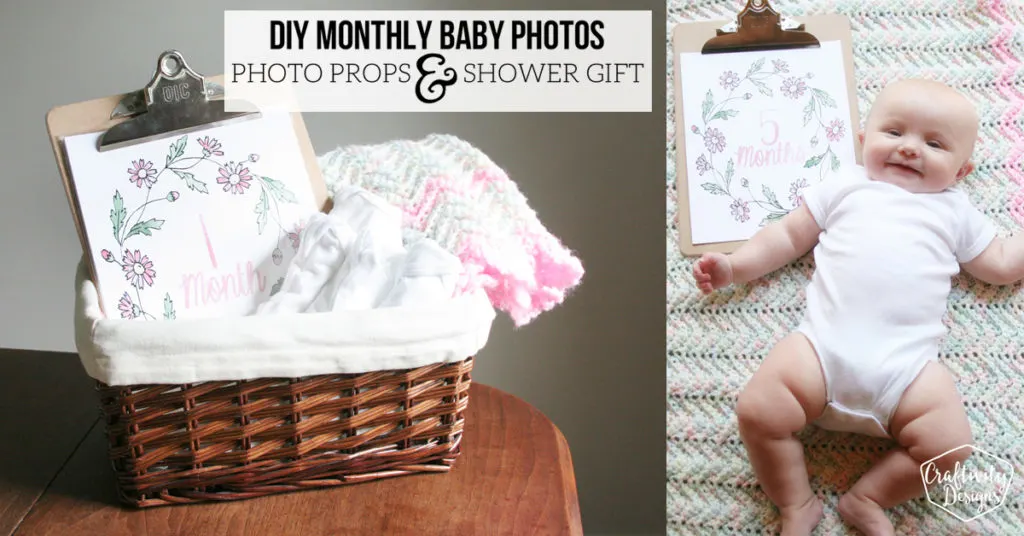 diy monthly baby photos photo prop shower gift FB