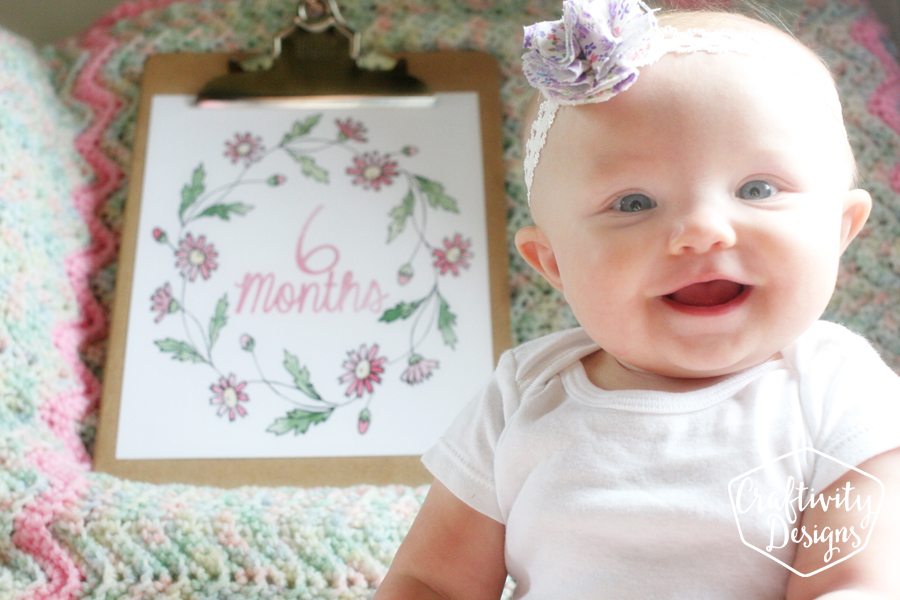 DIY Monthly Baby Photos, Monthly Baby Photo Shoot, Photo Prop, Printable Monthly Baby Signs by @CraftivityD