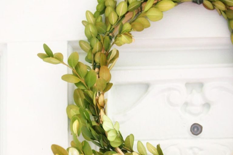 7 Favorite Wreaths from Amazon and Etsy