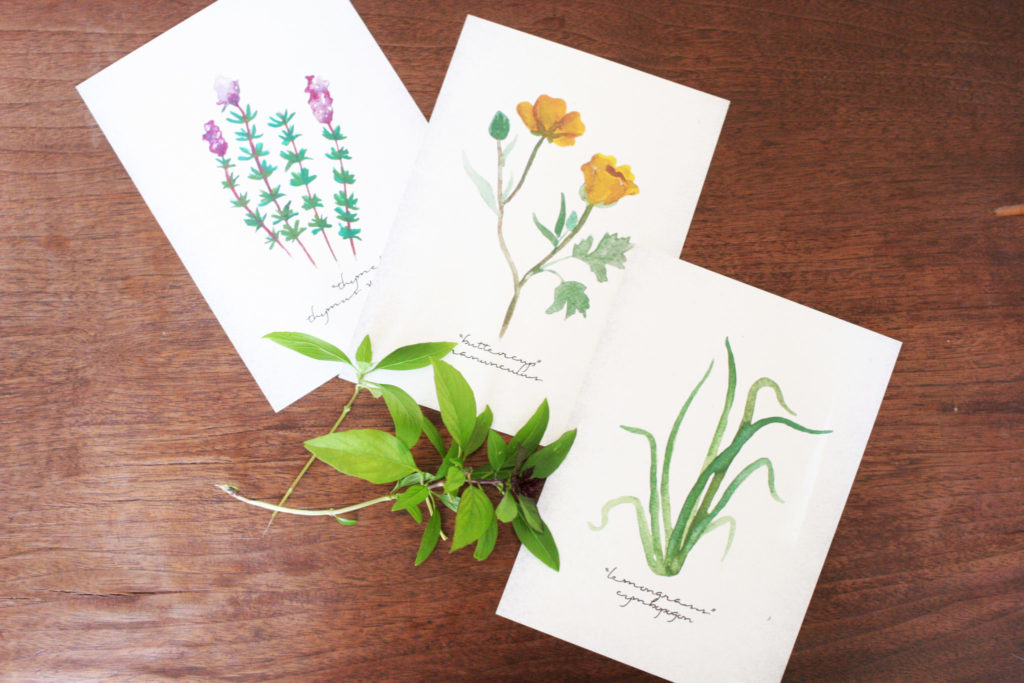 Gardening Gift Ideas Craftivity Designs