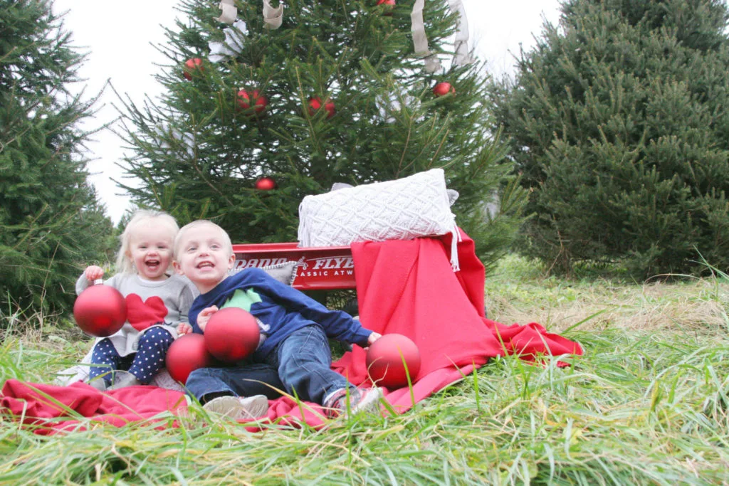 Family Tradition Photos, Family Christmas Photos, U-Cut Tree Farm Photos by @CraftivityD