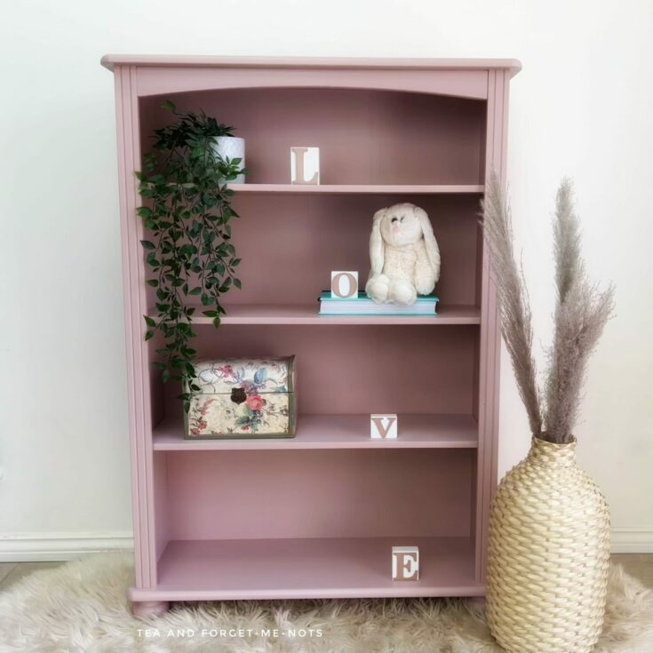 Image for Pink Bookshelf