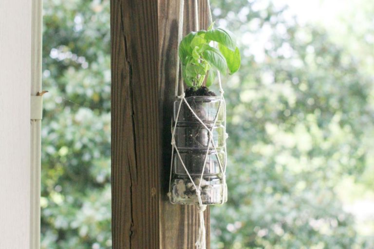 DIY Macrame Herb Garden from Recycled Bottles | Earth Day