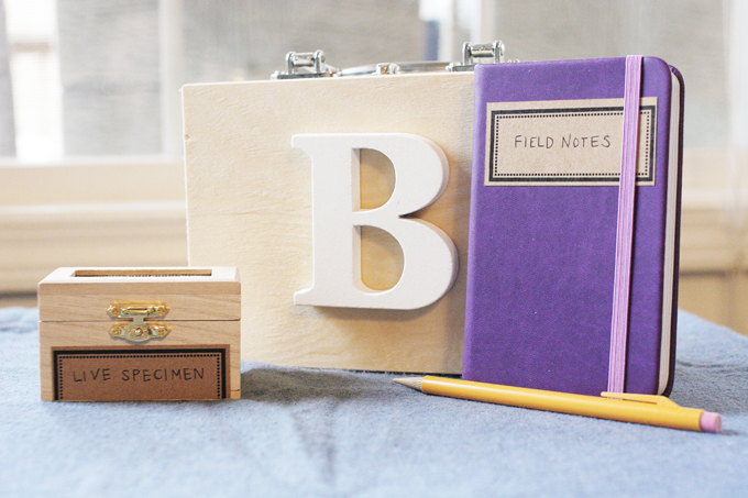 diy nature kit, field notes journal, live specimen container