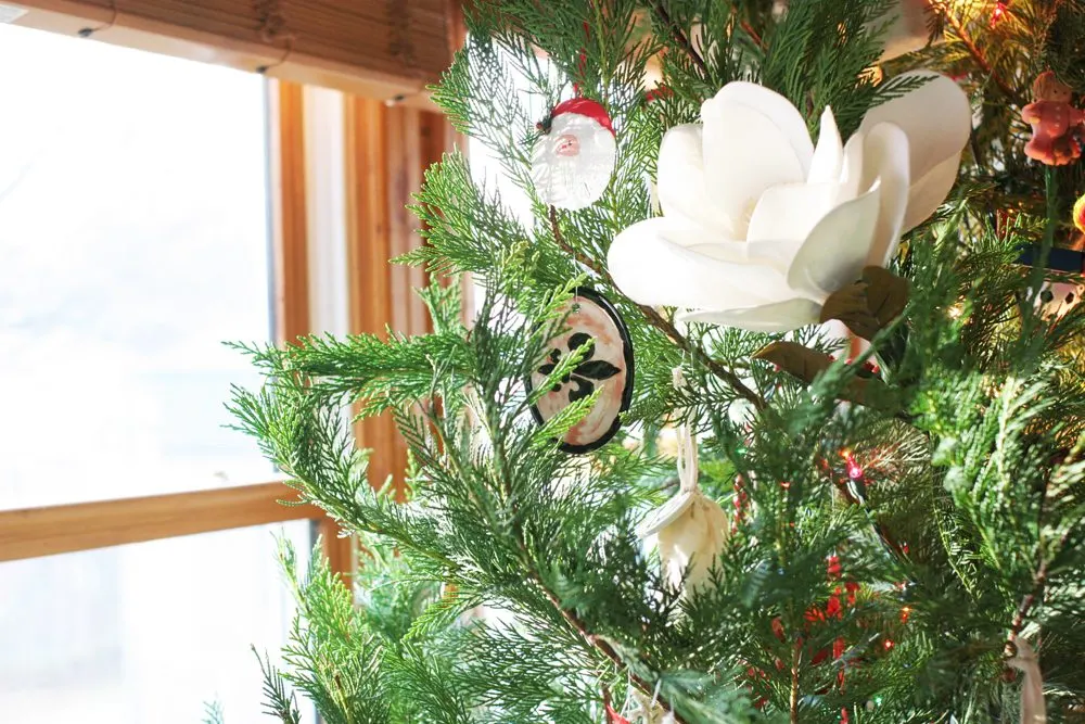 Learn how to decorate a southern style Christmas Tree with magnolia blossoms. The Magnolia is a perfect addition to your Farmhouse Christmas tree. #magnolia #farmhouse #christmas