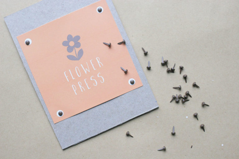 How to Make a Simple DIY Flower Press