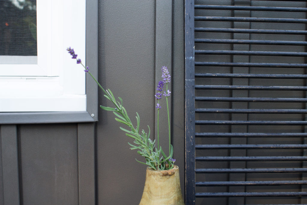 Dark Gray Board and Batten Siding (Vertical Siding) and Purple Plant in Vase