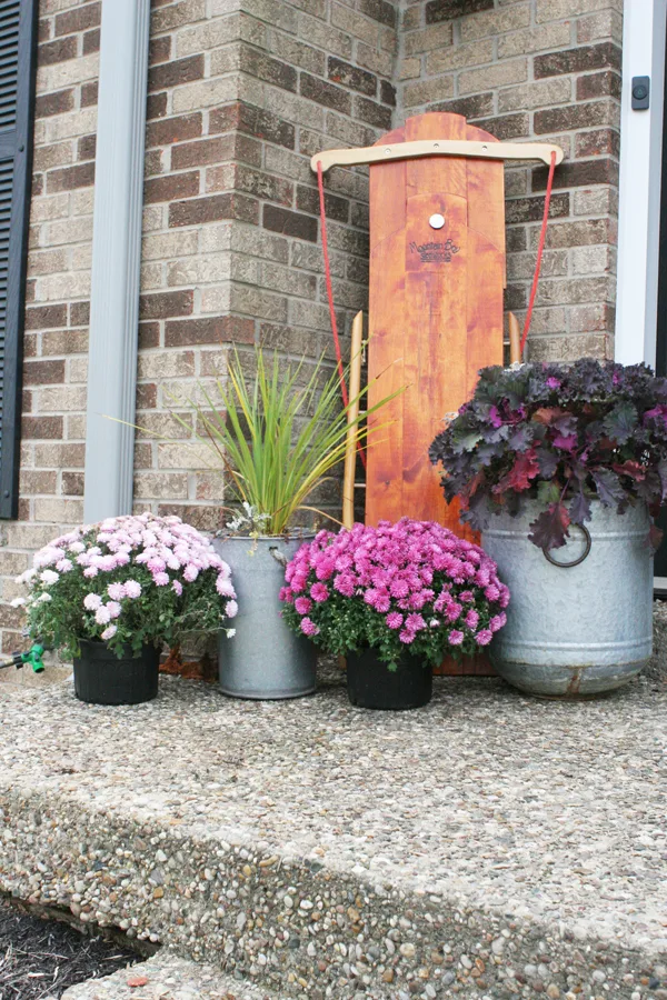 Christmas front porch decor with a wood sled, pink flowers, ornamental lettuce, and tall grass