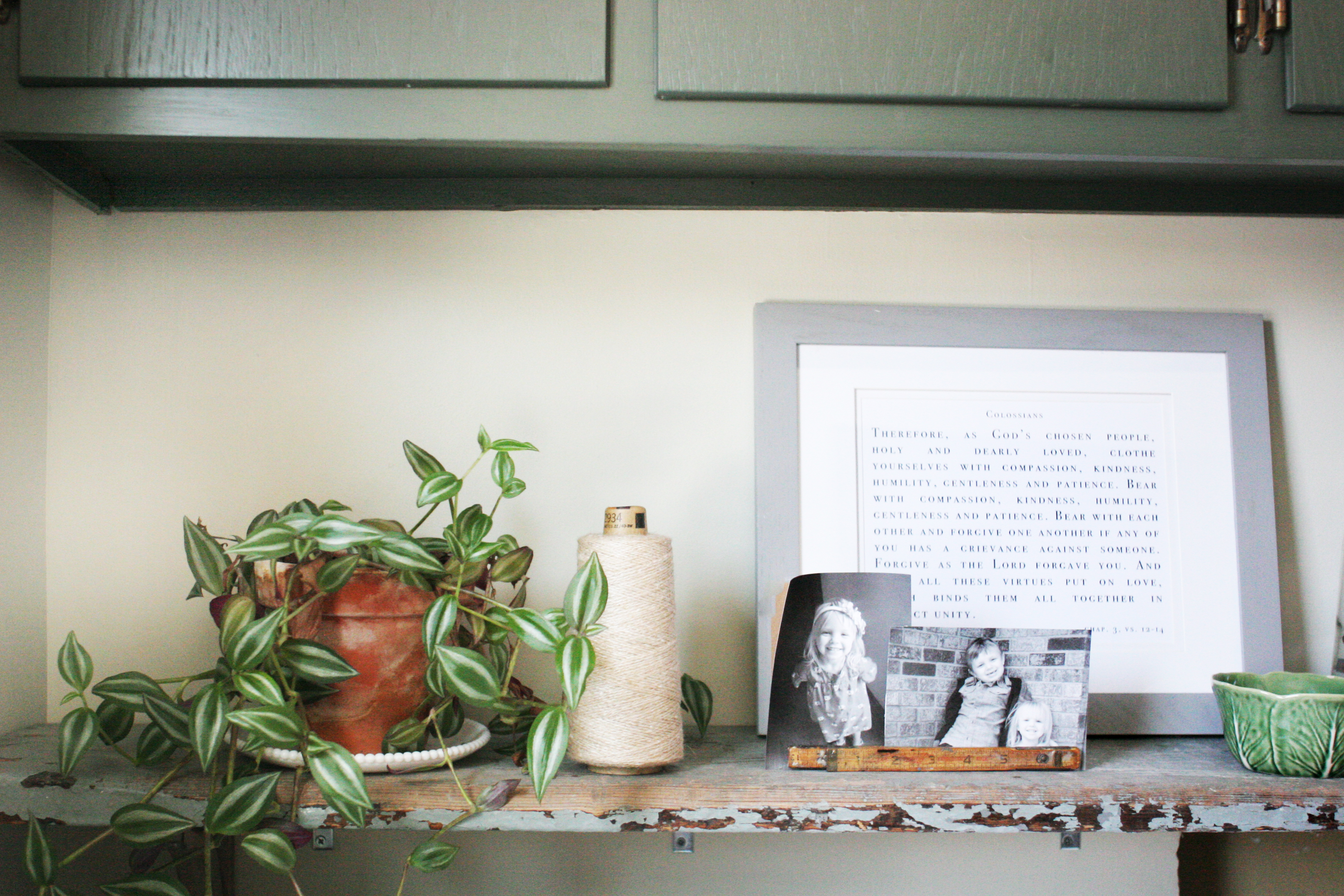 laundry room shelving in green themes