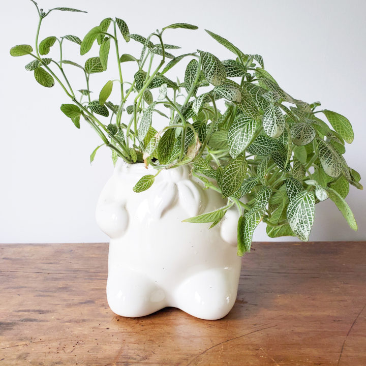 Use a Cookie Jar as a Vintage Planter for an Indoor Plant