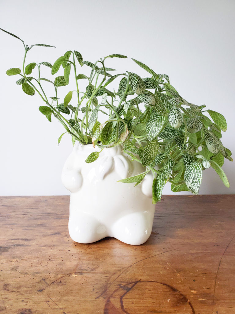 Use a Cookie Jar as a Vintage Planter for an Indoor Plant