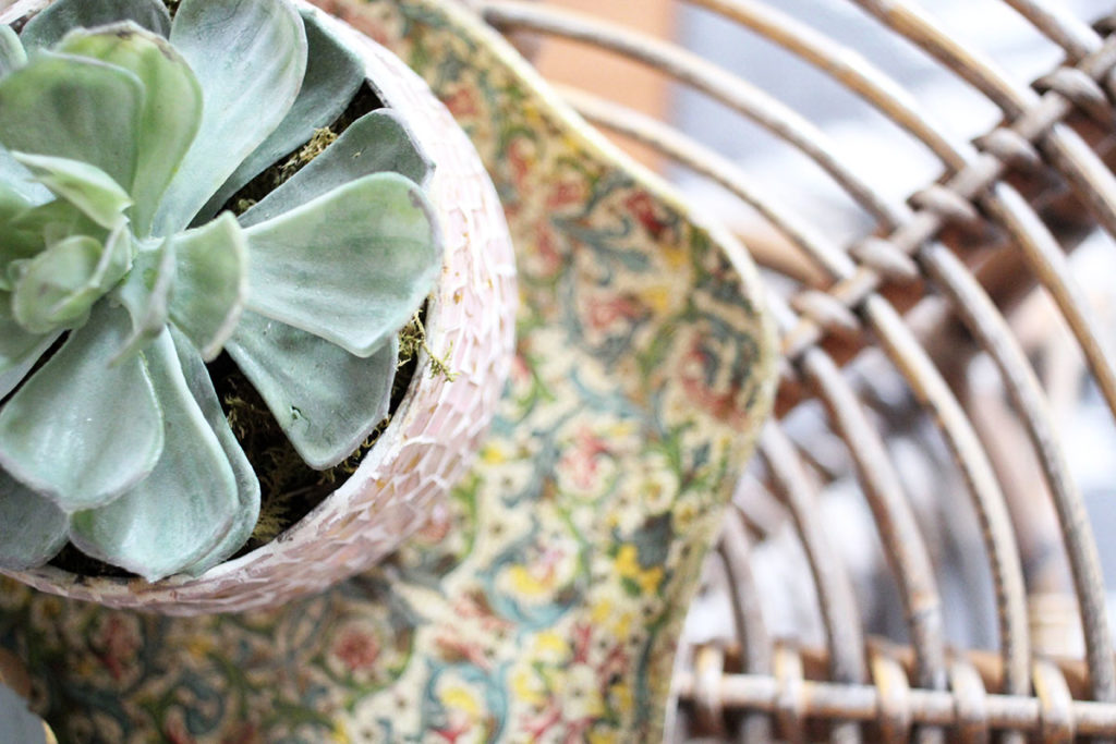 Succulent in a pink planter, on a vintage tray and rattan table - by Craftivity Designs