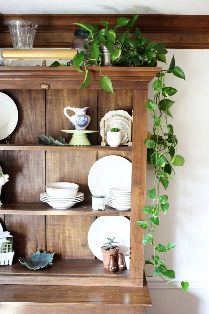 Plug-In Bookcase Bar Light adds Light to a Dark Room, Brighten a Dark Room with Lighting 