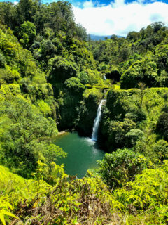 Lower Puohokamoa Falls in Maui on Road to Hana from first trip to Hawaii