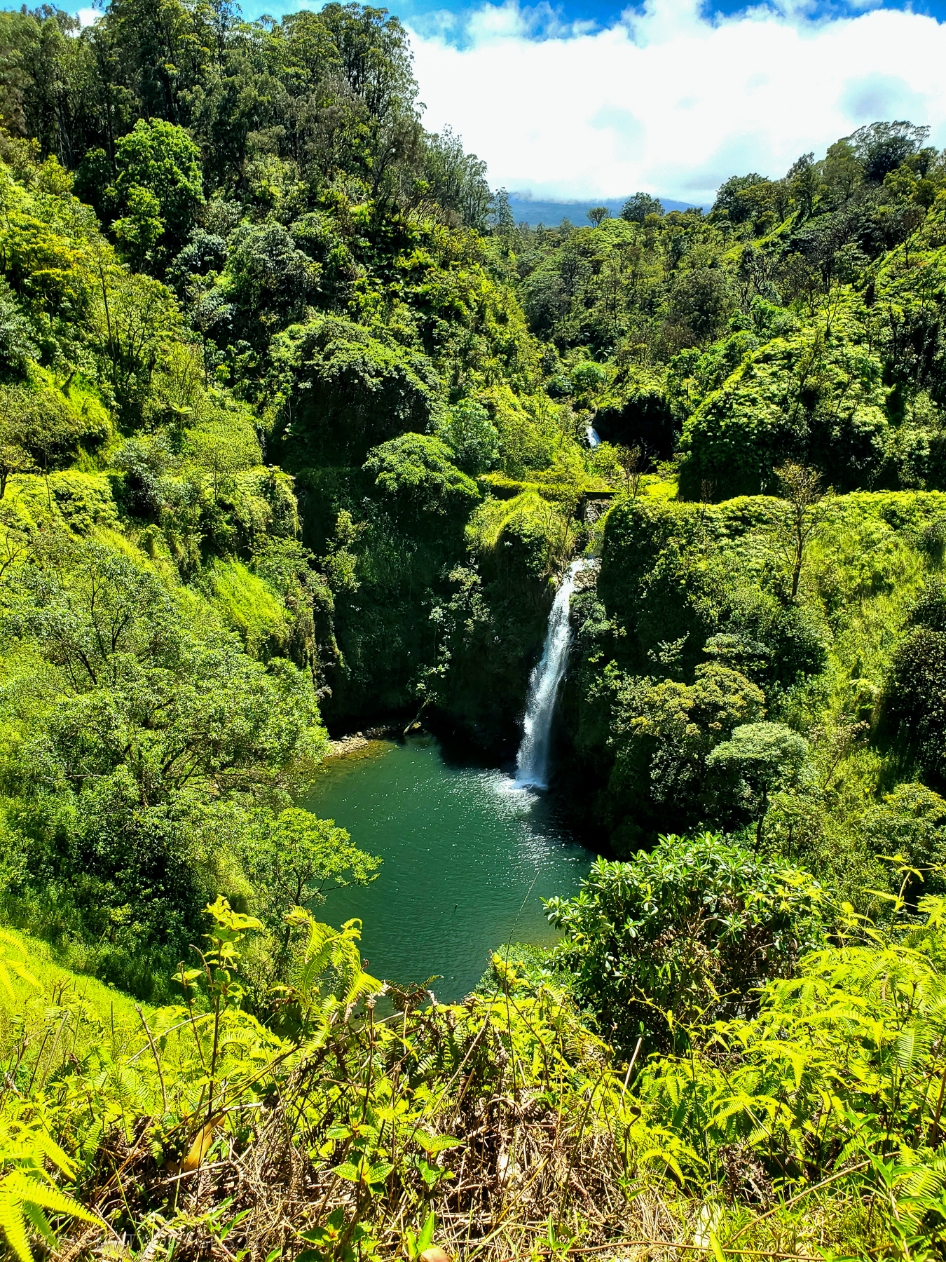 Lower Puohokamoa Falls in Maui on Road to Hana from first trip to Hawaii