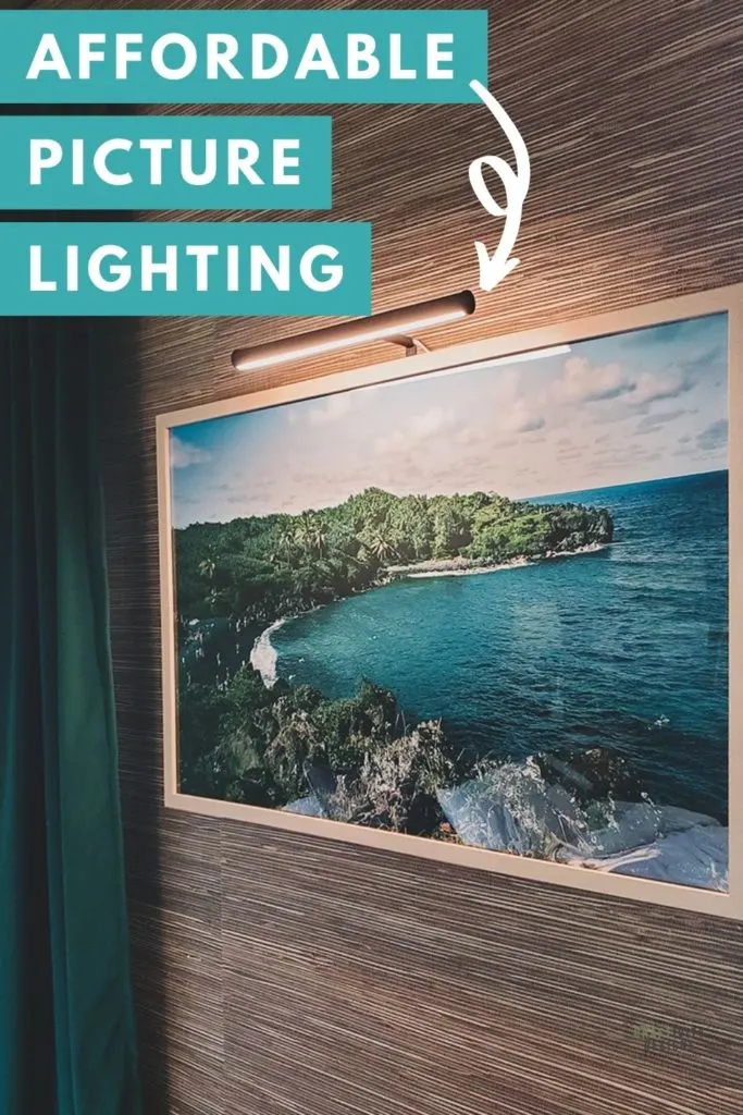 Affordable Picture Light over Hawaiian Art