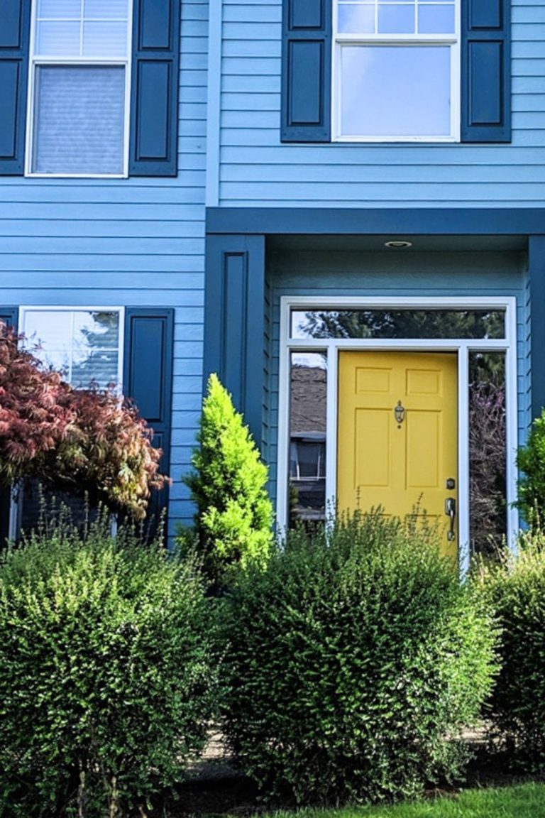 yellow front door ideas