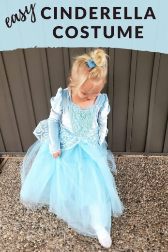 Easy Cinderella Halloween Costume – Craftivity Designs