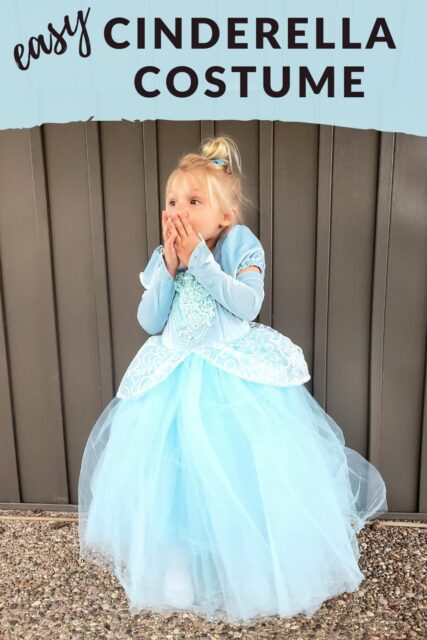 Easy Cinderella Halloween Costume – Craftivity Designs