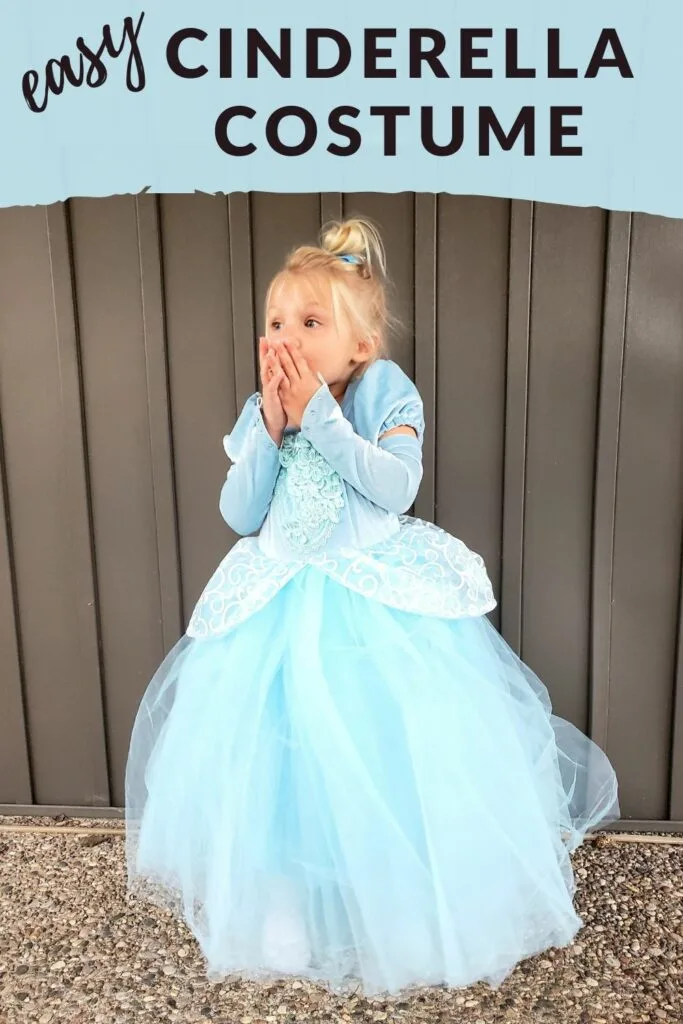 easy cinderella halloween costume