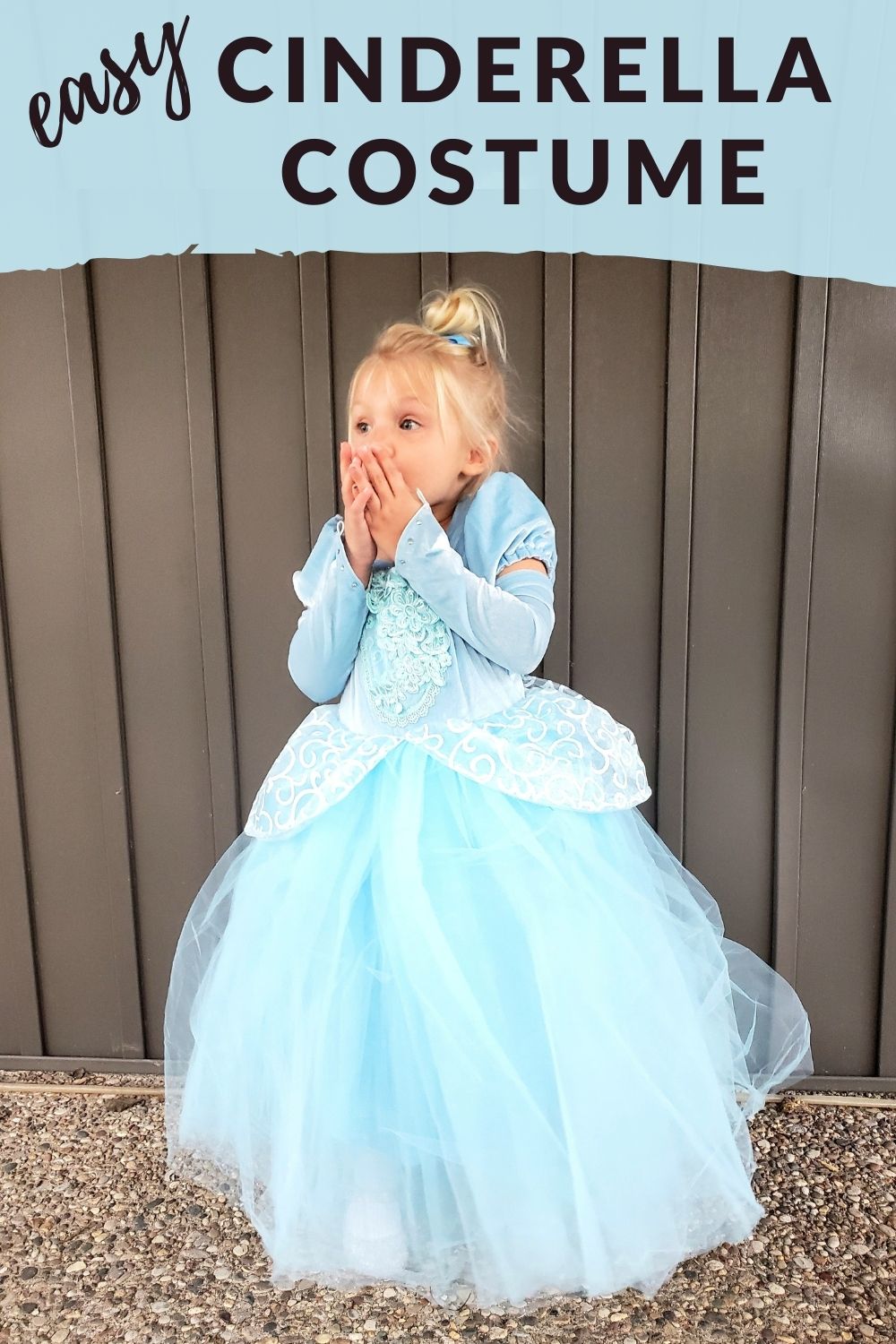 Diy Adult Cinderella Costume