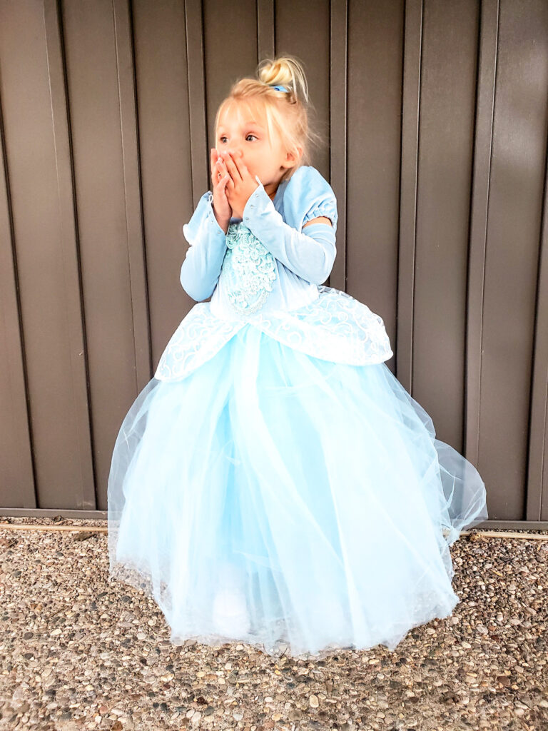 cinderella halloween costume