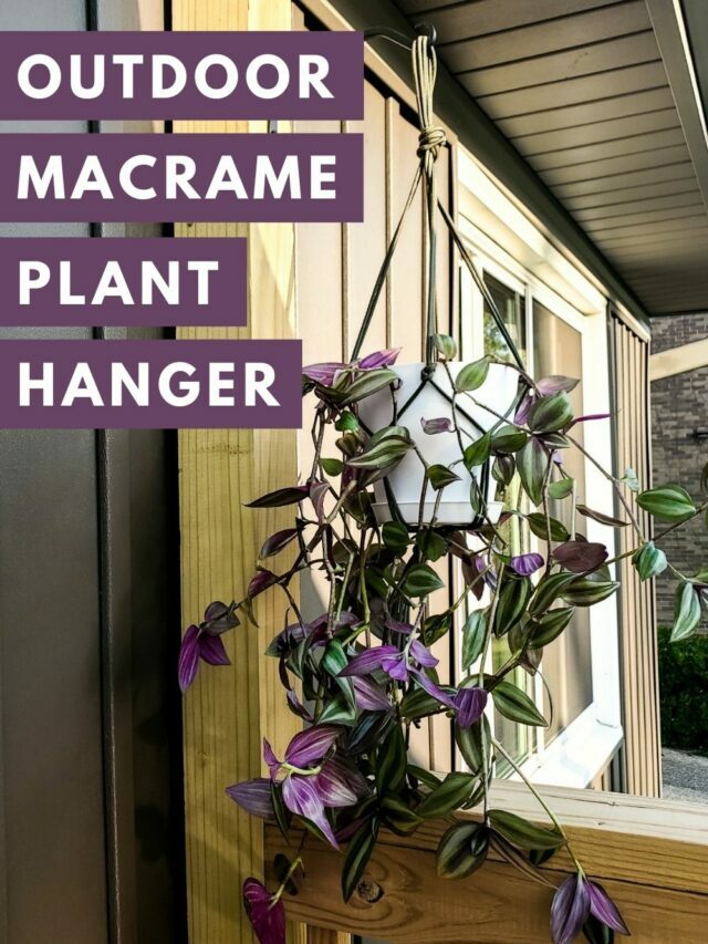 How to Make A Macrame Plant Hanger