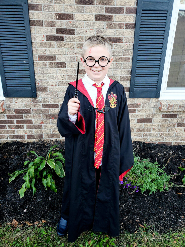 Harry Potter Costumes  Harry potter costume, Harry potter, Costumes