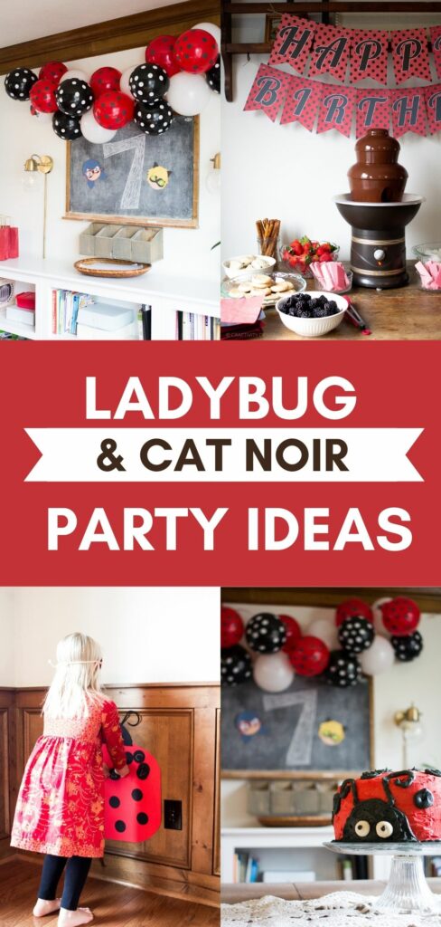 Miraculous Ladybug and Cat Noir Party Ideas