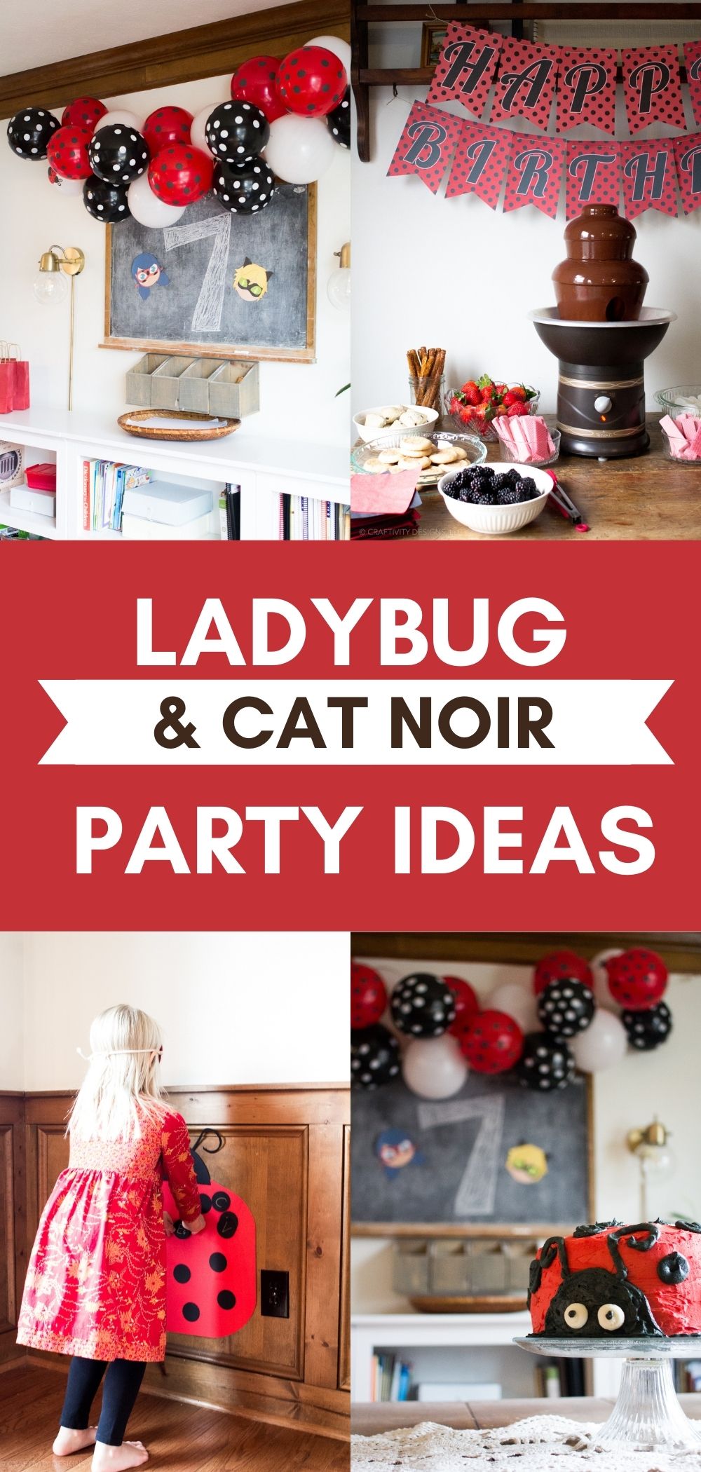 LadyBug  Ladybug birthday, Miraculous ladybug party, Ladybug birthday party