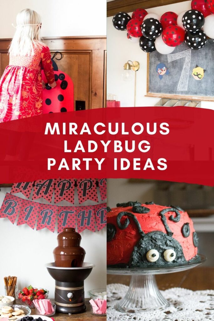 Miraculous Ladybug Party Ideas