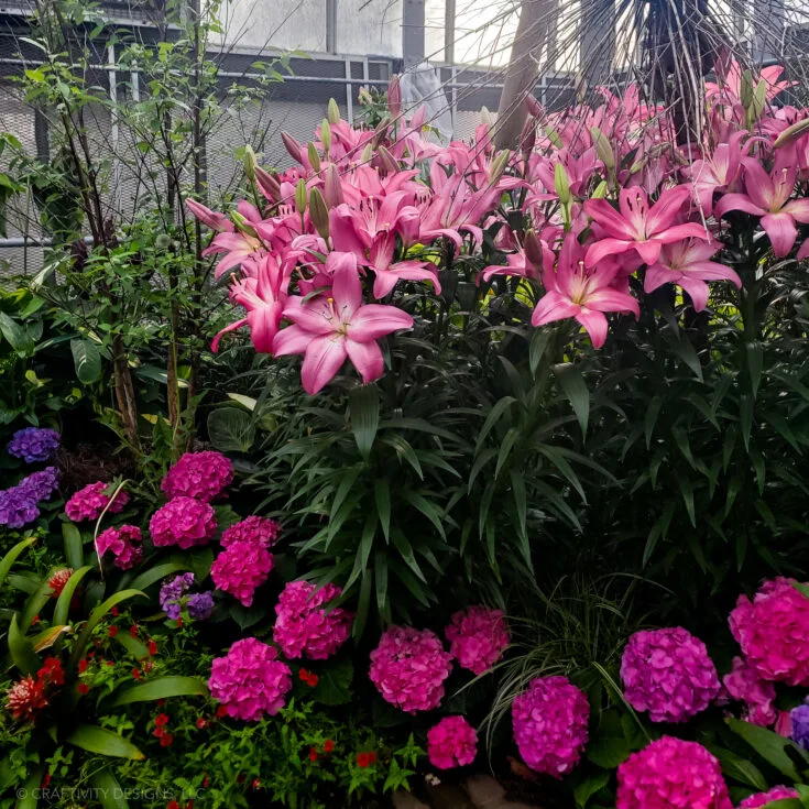 krohn conservatory