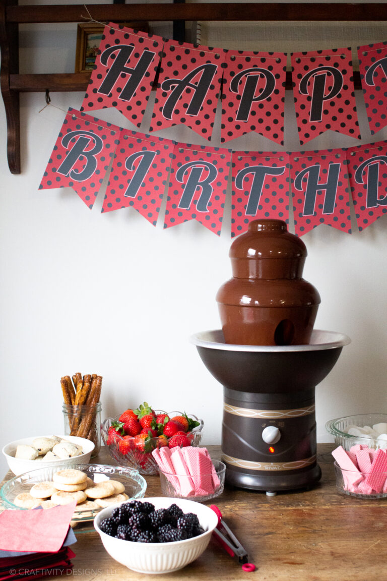 Miraculous Ladybug Birthday Party - Easy Party Decorations with Banner and Chocolate Fountain