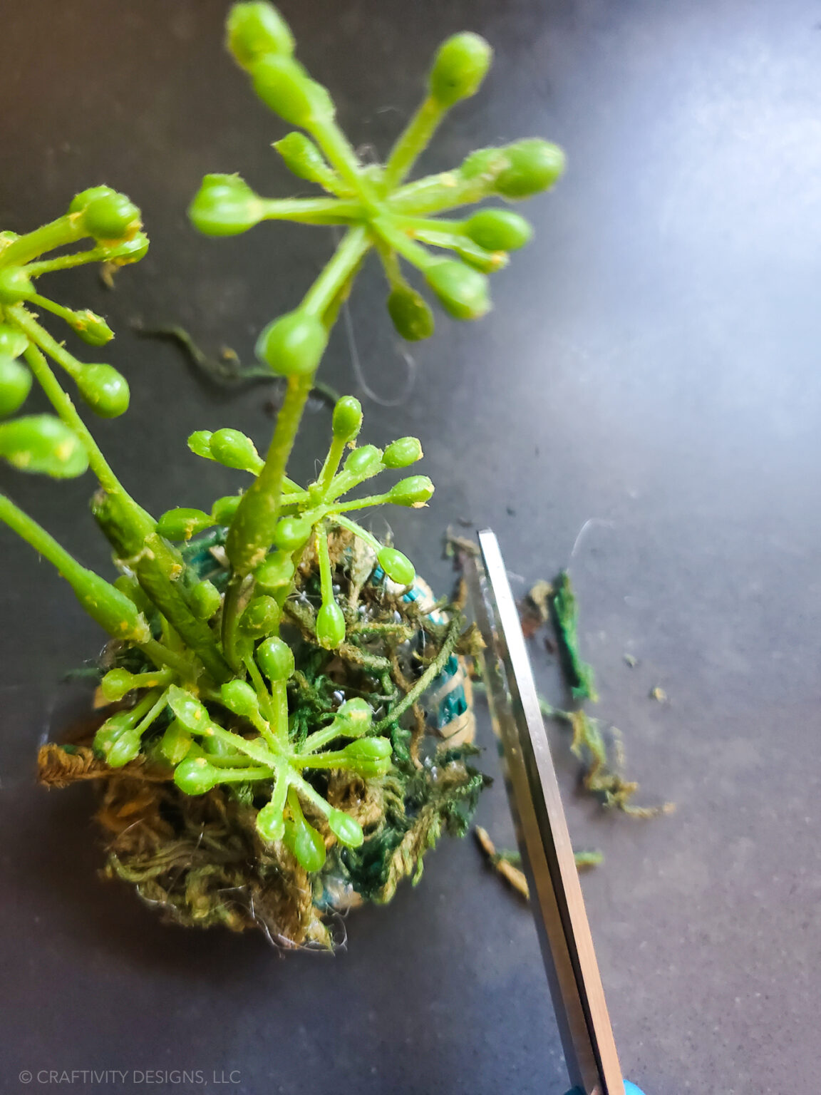 How to Make DIY Dollhouse Plants Craftivity Designs