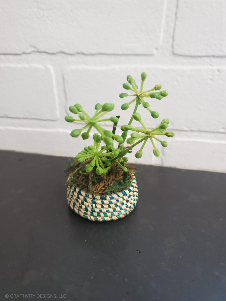 diy dollhouse plants