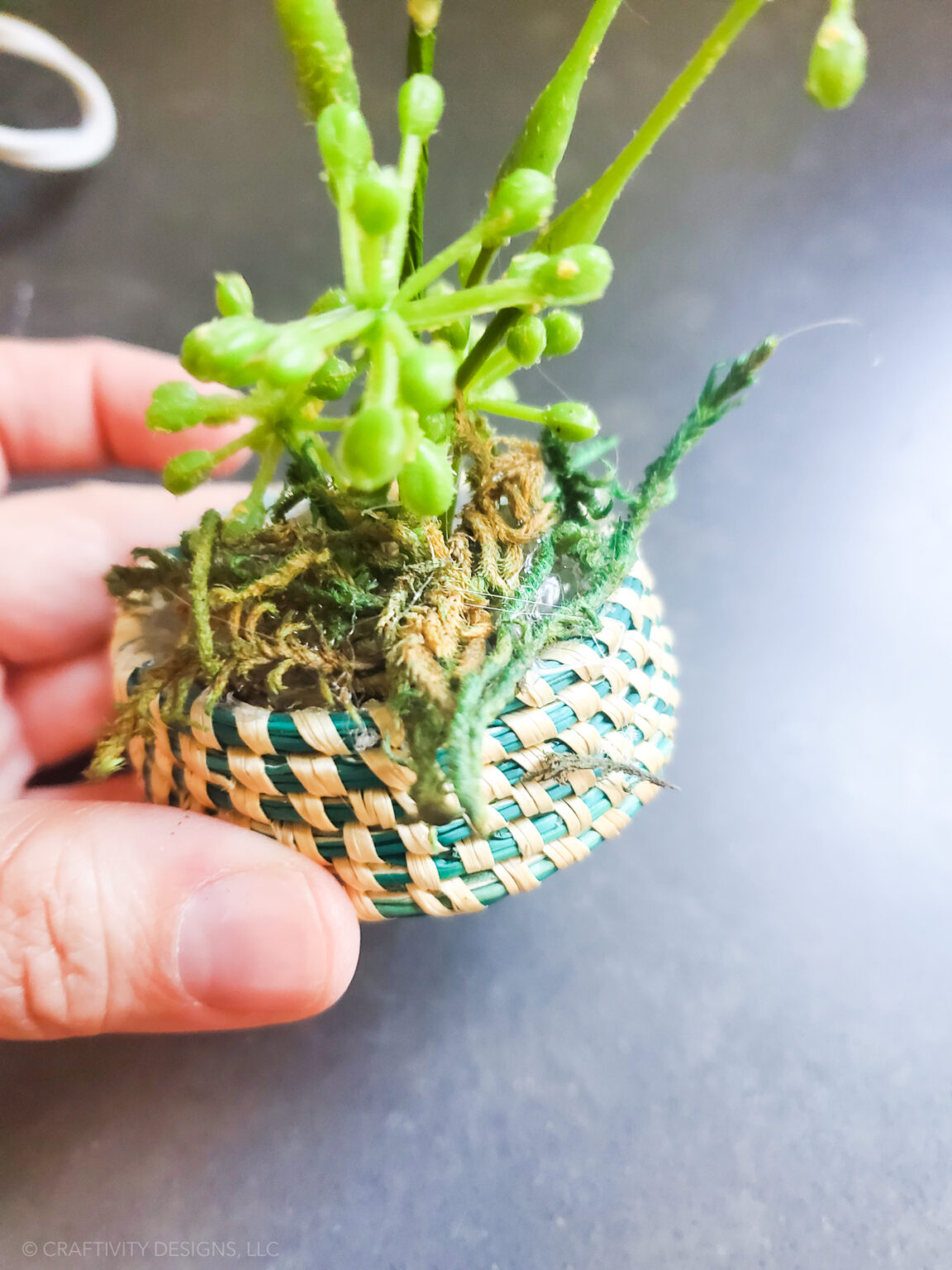 How to Make DIY Dollhouse Plants Craftivity Designs