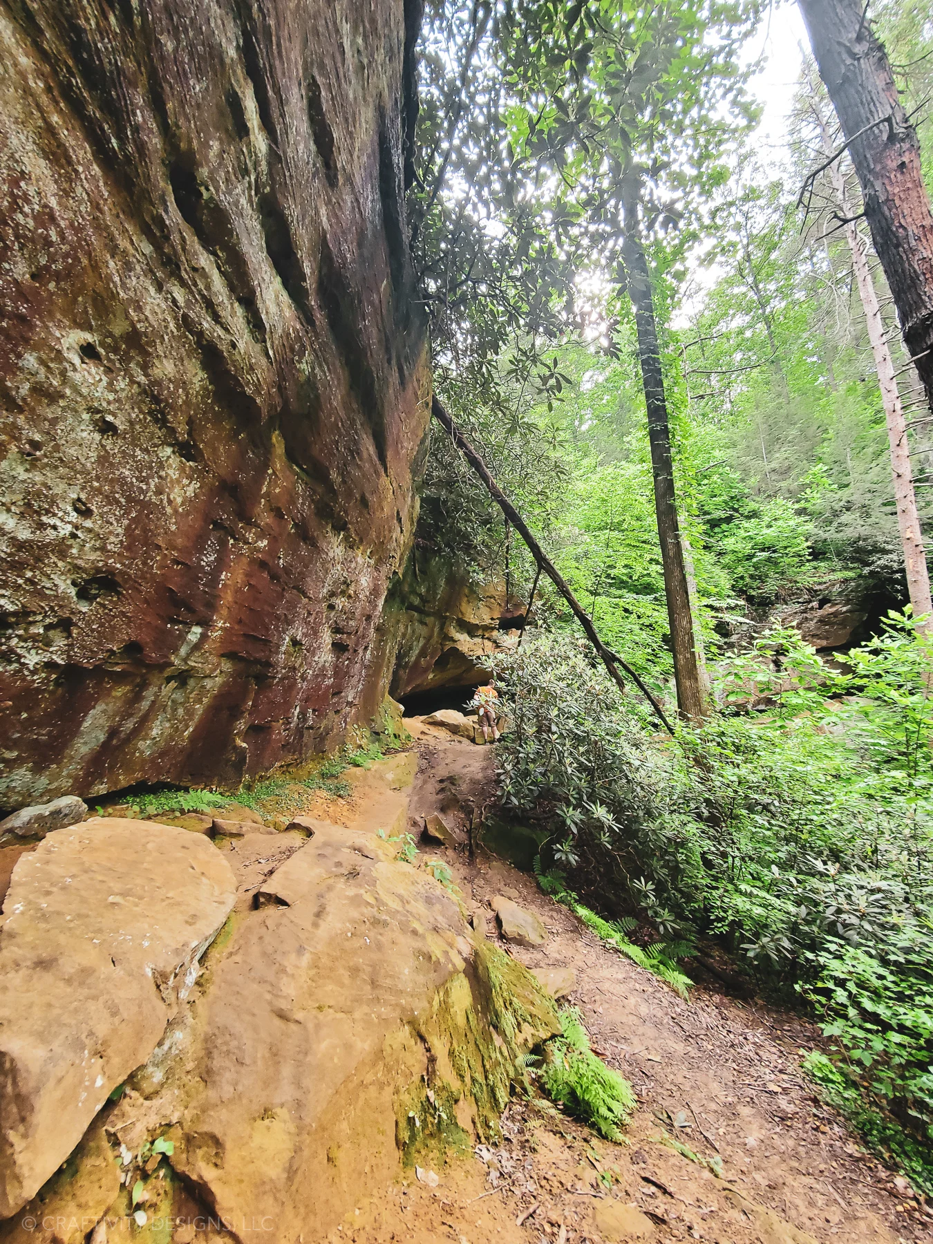 angel windows trail red river gorge