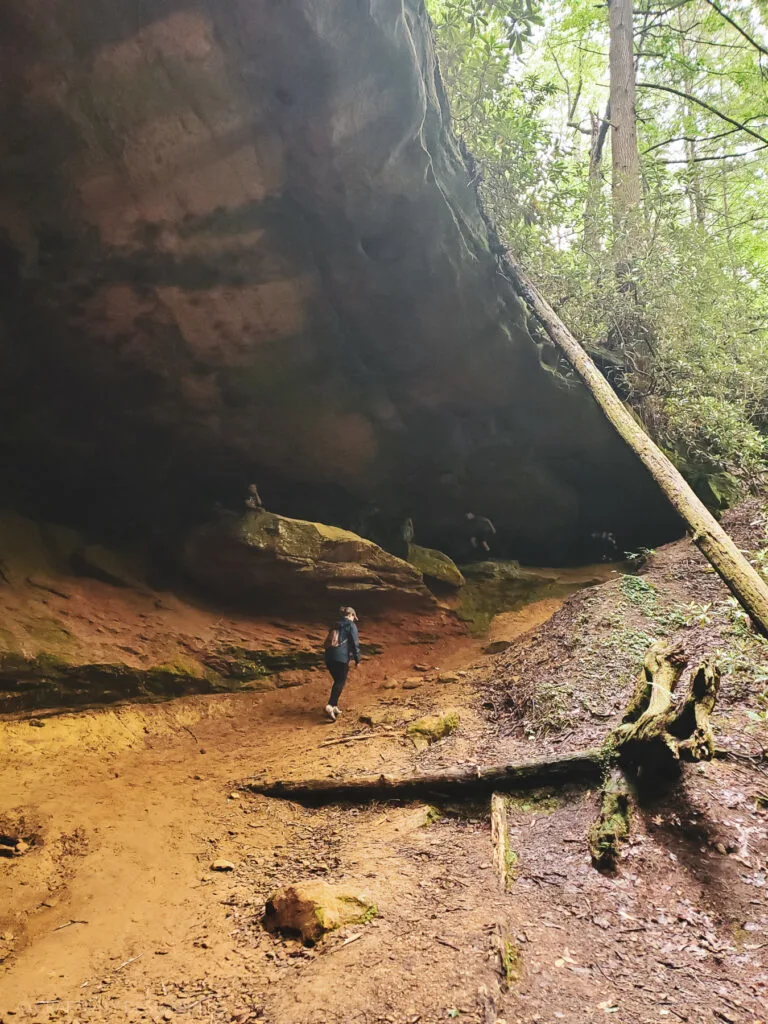 creation falls via rock bridge loop trail red river gorge