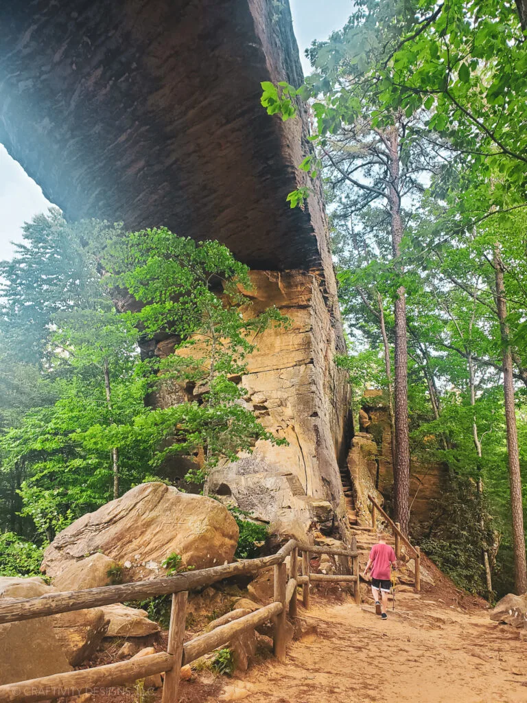 natural bridge state park, the Original Trail