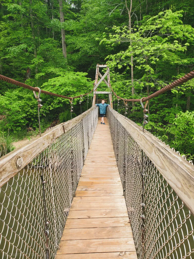 swinging bridge natural bridge state park