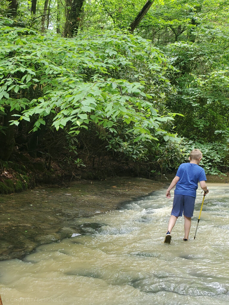 creation falls via rock bridge loop