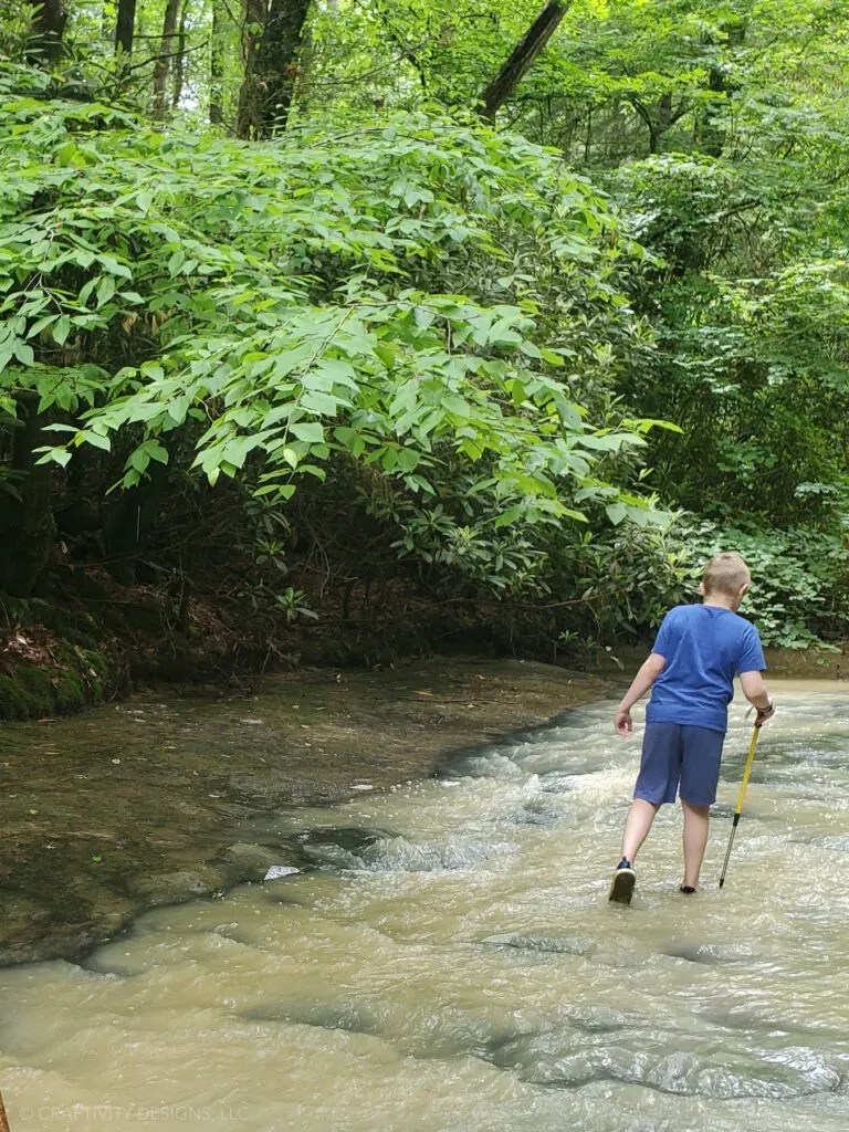 creation falls via rock bridge loop