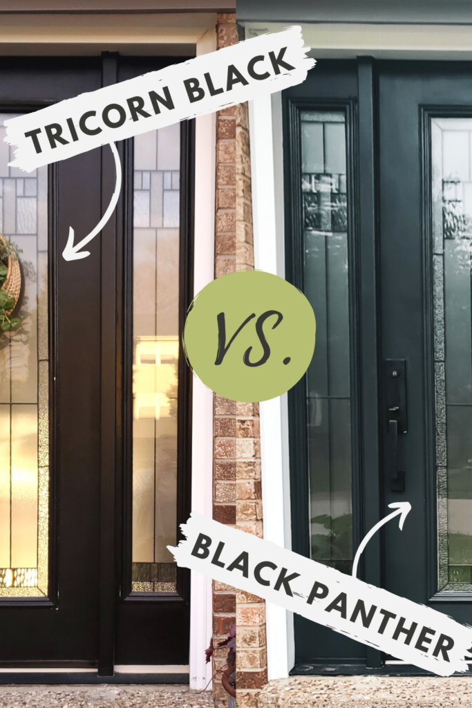 Tricorn Black vs Black Panther, best black paint colors